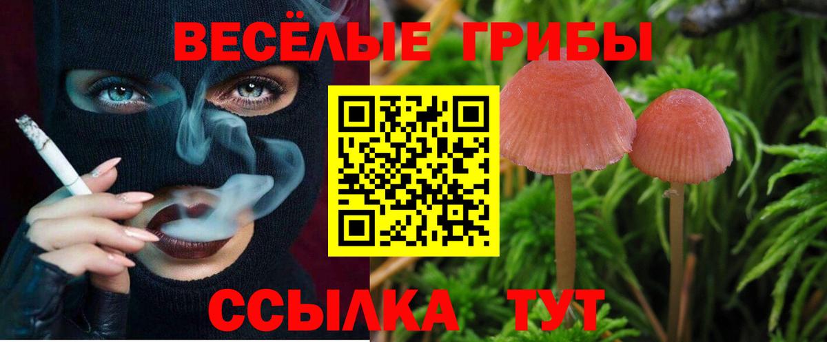 Галлюциногенные грибы Psilocybine cubensis  Вход с VPN  Таганрог 