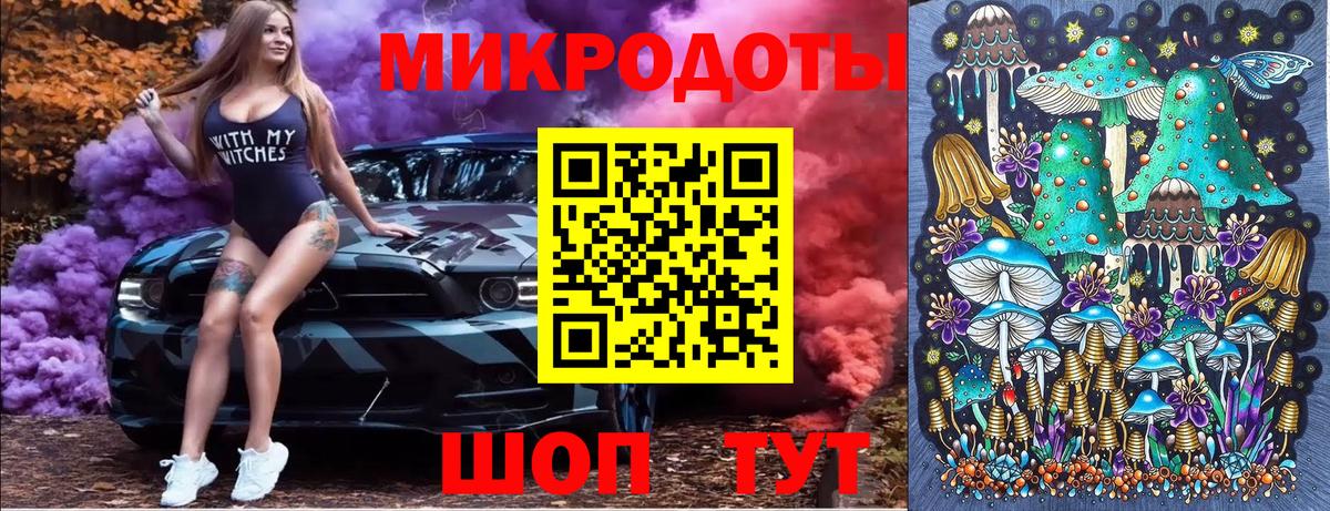 Псилоцибиновые грибы Psilocybe Таганрог