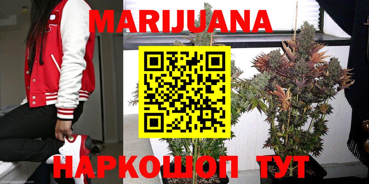 Конопля SATIVA & INDICA Таганрог